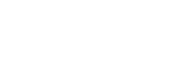 Widmer Treuhand